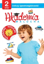 Akademia malucha 2-latek ćwiczy spostrzegawczość