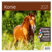 Kalendarz 2021 30x30 Konie HELMA