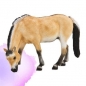 ANIMAL P. Klacz fiordzka (F7148)