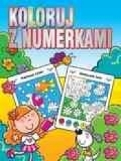 Koloruj z numerkami - Opracowanie zbiorowe