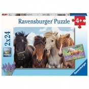 Puzzle 2w1: Konie (5148)