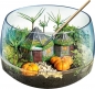 Clementoni, Harry Potter - Terrarium (19248)