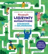 Niesamowite labirynty matematyczne. Dodawanie i odejmowanie Catherine Casey, Ana Sebastián