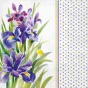 SERWETKI TL326300 Blue Iris - TL326300