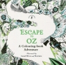 Escape to Oz A Colouring Book Adventure