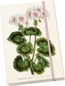 Notatnik ozdobny A5 STNOTE 148 Biała pelargonia