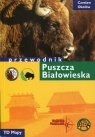 Puszcza Białowieska Przewodnik