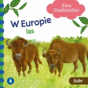 W Europie. Las. Żubr - Ewa Stadtmüller