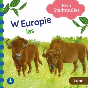 W Europie. Las. Żubr - Ewa Stadtmüller