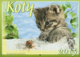Kalendarz 2013 WL 9 Koty