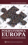 Pokryzysowa EuropaDylematy Unii Europejskiej Grosse Tomasz Grzegorz