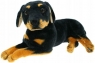  Pies rottweiler 47cm