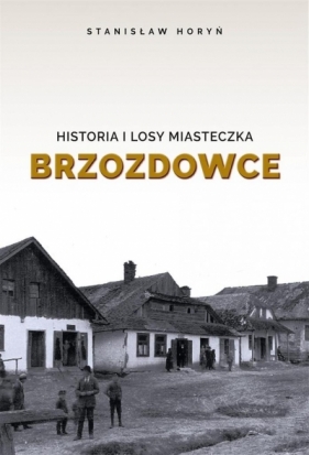 Historia i losy miasteczka Brzozdowce - Horyń Stanisław 