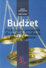 Budżet Praktyczny poradnik dla małych i średnich przedsiębiorstw Młodzikowska Danuta, Lunden Bjorn