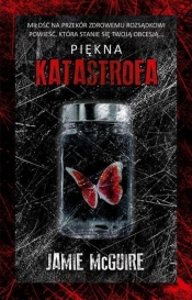 Piękna katastrofa