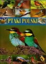 Ptaki polski Praca zbiorowa