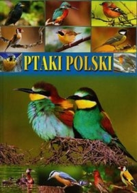 Ptaki polski - Praca zbiorowa