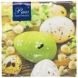 Serwetki Paw Lunch WN - mix 330 mm x 330 mm (SDL087200)