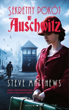 Sekretny pokój w Auschwitz - Matthews Steve