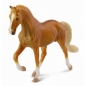 Klacz rasy stallion golden palomino (88449)