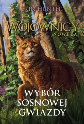 Wybór Sosnowej Gwiazdy - Erin Hunter