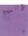 Serenada na fortepian Franz Schubert, Franz Liszt
