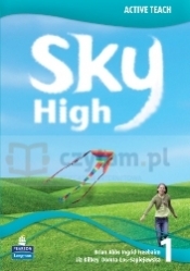 Sky High 1 Active Teach