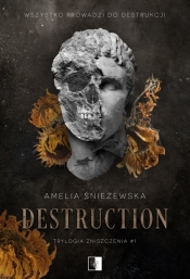 Trylogia zniszczenia 1 Destruction - Śnieżewska Amelia