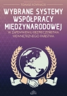 Wybrane systemy współpracy międzynarodowej w zapewnieniu