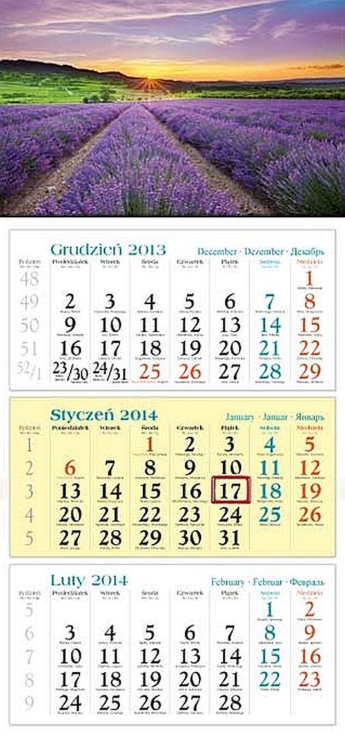 Kalendarz 2014 Lawenda