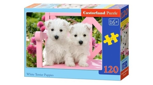 Puzzle 120: White Terrier Puppies