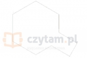 TAMIYA Farba Acrylic Mini XF2 Flat Whi (81702)