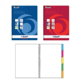 Brulion Herlitz x-book A4 kratka 100 (296491)