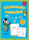 Kolorowanki łamigłówki Opracowanie zbiorowe