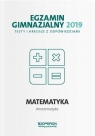 Egzamin gimnazjalny 2019 Testy i arkusze z odpowiedziami Matematyka Olejarczyk Ewa, Klocek Sylwia