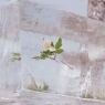Windflowers Limited Edition (Vinyl)
