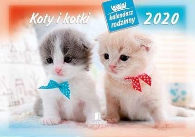 Kalendarz 2020 Rodzinny Koty i Kotki WL9