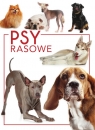 Psy rasowe Izabela Przeczek