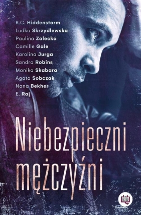 Niebezpieczni mężczyźni - Camille Gale, E. Raj, Karolina Jurga, Ludka Skrzydlewska, Sandra Robins, K. C. Hiddenstorm, Paulina Zalecka