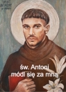 Św. Antoni Padewski (magnes na lodówkę) Wydawnictwo PETRUS