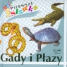 Gady i płazy Moje pierwsze słówka