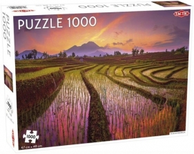 Puzzle Fields in Indonesia 1000