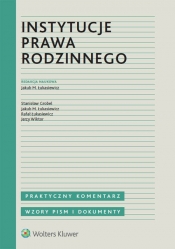 Instytucje prawa rodzinnego - Łukasiewicz Rafał, Łukasiewicz Jakub M.