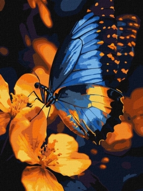 Malowanie po numerach - Migotanie skrzydeł 30x40cm