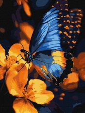 Malowanie po numerach - Migotanie skrzydeł 30x40cm