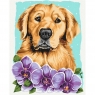 Malowanie po numerach - Golden retriever 40x50cm