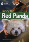 FRL Farley The Red Panda with DVD (l.1000)