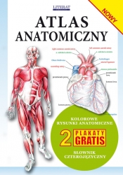 Atlas anatomiczny - Opracowanie zbiorowe