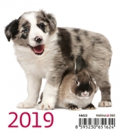 Kalendarz biurkowy Mini Przyjaciele 2019 10 sztuk (SM22-19)