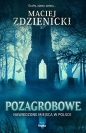 Pozagrobowe. Nawiedzone miejsca w Polsce - Maciej Zdzienicki